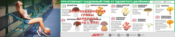 мескалин Абаза
