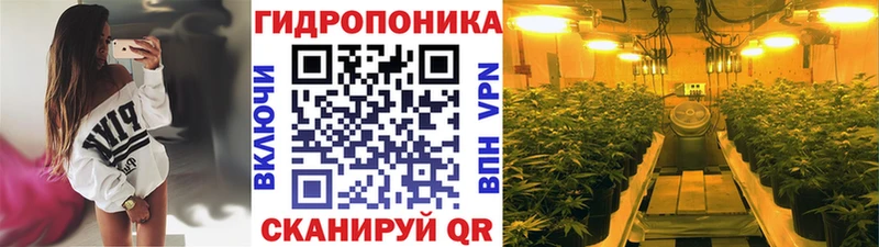 Каннабис White Widow  купить   Сольцы 